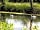 Lower House Farm: Cygnets out for a splash