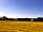 Higher Seawardstone Farm: View over the pitches