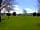 Lime Tree Holiday Park: View of the pitch area