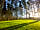 Lilliardsedge Holiday Park: Woodland camping area (photo added by manager on 01/07/2021)
