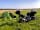 Strumble Camping: 110% perfection (photo added by  on 31/08/2021)