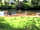 The Old Post Office Campsite: Fun in the sun, May bank holiday 2014