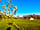 Thistledown Farm Campsite: Open spaces