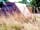 The Wildings Elms Meadow: Family-friendly camping (photo added by manager on 07/03/2022)