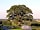 Marbury Camp and Lodge