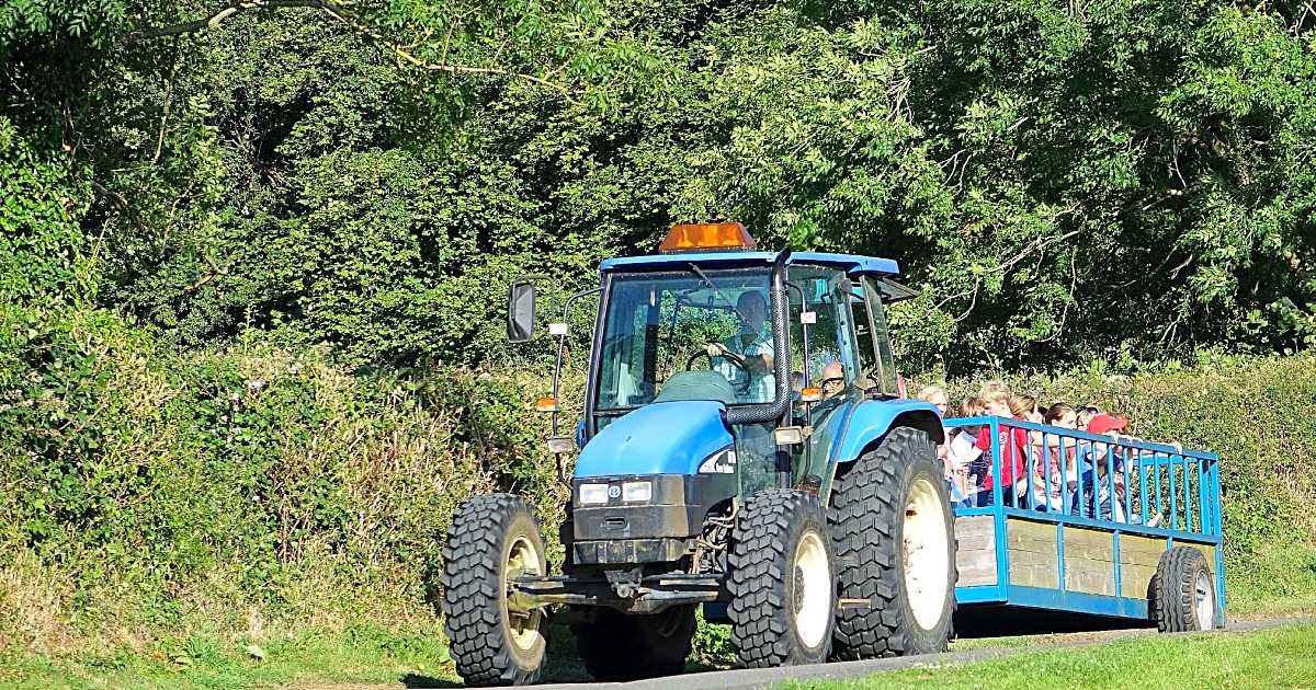 Parkers Farm Holiday Park, Ashburton