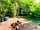 Morelands Copse Camping: Woodland area around George’s Hut