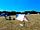 Killaworgey Farm: Tent pitch