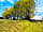 Herons Bank Caravan and Camping Site: Entrance with secure gate