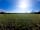 Gramp's Field: Open space perfect for activities with family and friends.