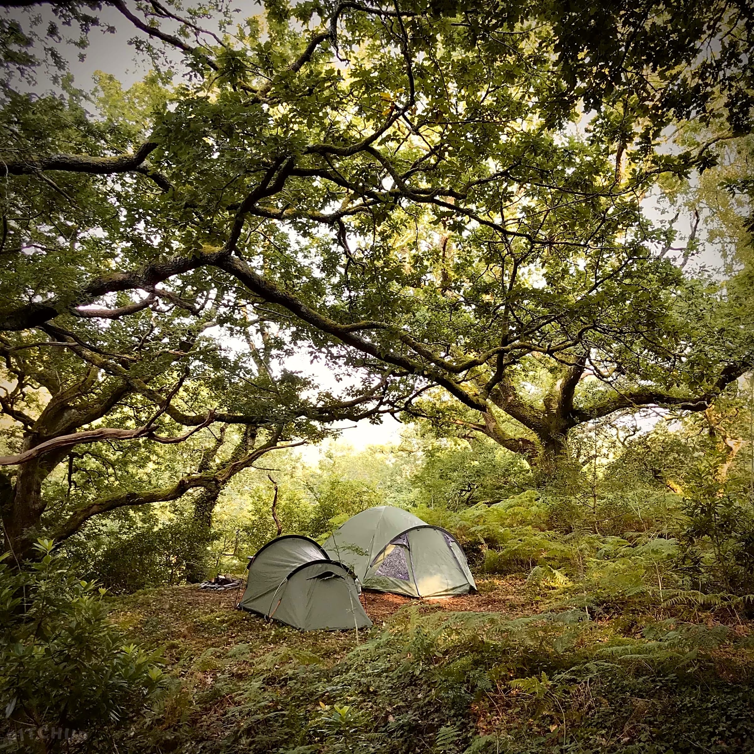 Wild campsites top
