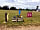 Stonham Barns Holiday Park: Dog friendly (photo added by manager on 29/06/2022)