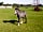 Bluebell Farm: Magic growing up