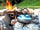 Tents on The Went: Stove on a campfire