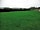 Roseville Caravan and Camping: Quiet and level grounds