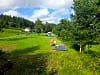 Moss Side Farm Campsite: Stunning field to pitch in (photo added by ashley_w242714 on 08/10/2025)