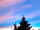 Bowhayes Farm Camping: Vanilla sky sunset