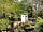 Bluebell Retreat Glamping: The Shepherd's hut