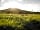 Brithdir Mawr Wild and Eco Camping: Carningli in the evening