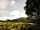 Brithdir Mawr Wild and Eco Camping: View towards Carningli