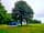Donkey Down Camping at Culliford Tree