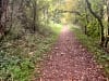 Mayfield Park: Walk from campsite to Cirencester. (photo added by rowena_g145876 on 24/10/2025)