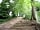 Colemere Caravan Park: Wood path