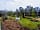Hollands Wood Caravan and Campsite: Grass pitches