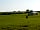 Ebborways Farm: Lots of space