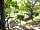 Campeggio Panorama del Chianti: Grassy and leafy site (photo added by manager on 03/12/2014)