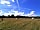 Wolford Wood