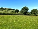 campings en Chudleigh