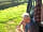 Torre View Farm: Relaxed