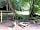 Manor Farm: Shelter in the woods