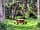West Beach Resort: Among the trees