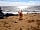 The Vale Park Hotel and Touring Site: Dog-friendly beaches nearby