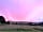 Cosmos Camping: Beautiful sunset