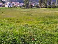 Lote para motor-casa de grama e areia eletricidade, água e esgoto incluídos