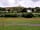 Glastonbury Camping and Caravanning: View of Glastonbury Tor from the pitches (photo added by manager on 26/07/2019)