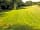 Cwmsoar Camping: Peaceful pitches