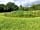 Rake Meadows