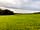Hyden Farm: View from the pitches across the farm, with horses in the far paddock