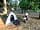 Camping BelleRive: Simple , quiet spot with plenty of shade