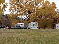 Cottonwood trees in autumn Cottonwood trees in autumn