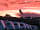 Grondre Holiday Park: Touring field sunset
