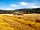 Woodleigh: combining on farm