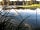 Camping de Montlouis-sur-Loire: some great fishing spots