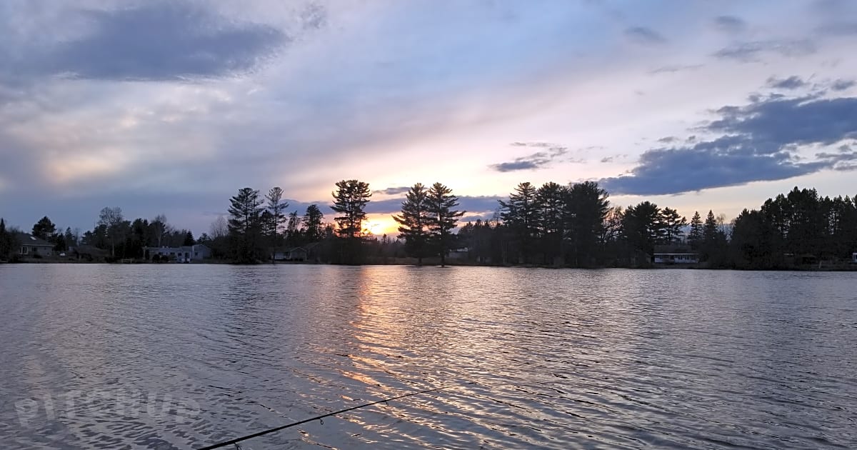 Horseshoe Lake Campground and Cabins, Gwinn Pitchup®