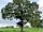 Coxwood Farm