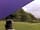 Warminghurst Camping: Peaceful and quiet (photo added by  on 21/08/2021)